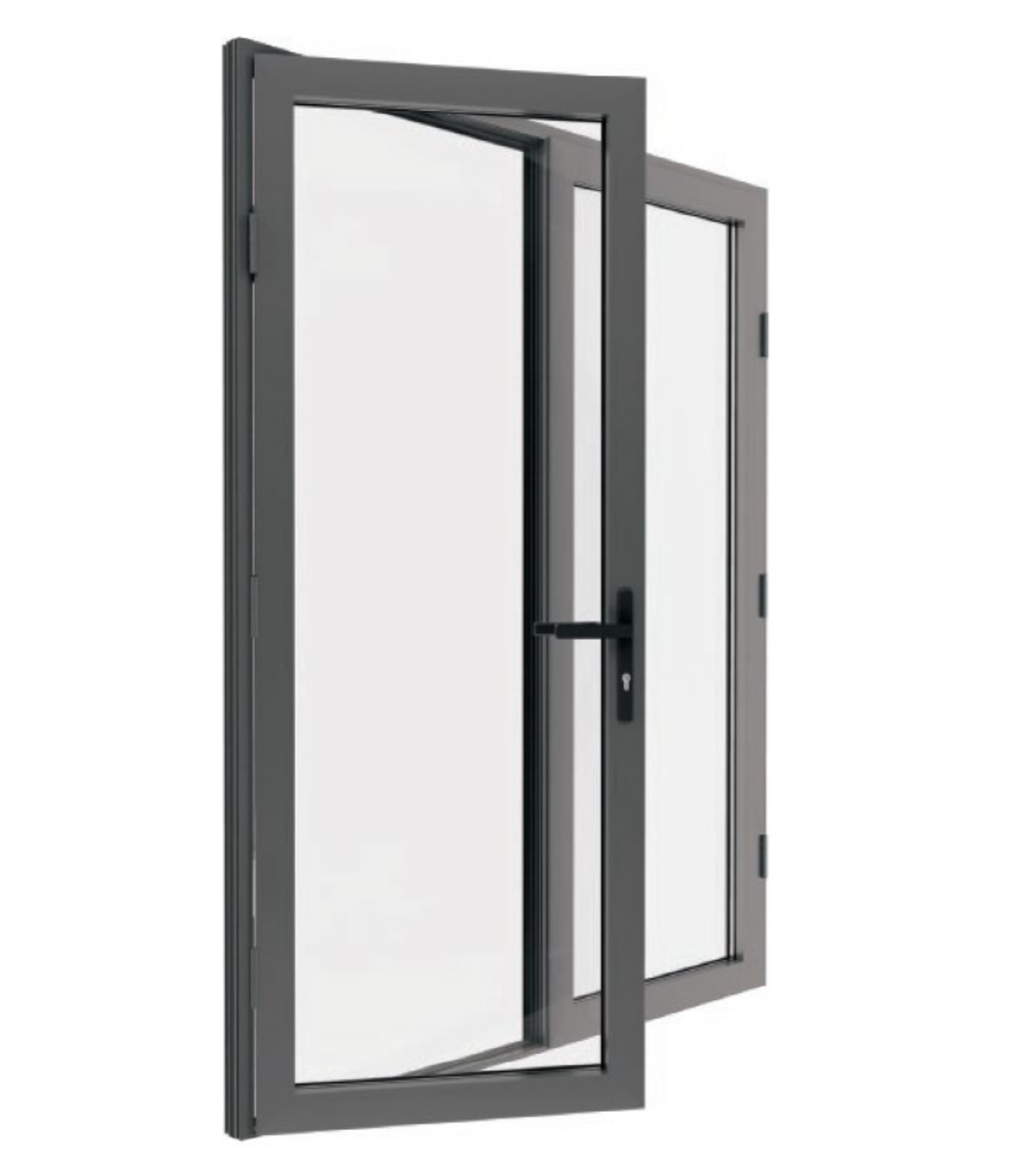 VLX 100 Double Swing / French Door in Coral Gables, FL | TruePane Windows & Doors - detail 2