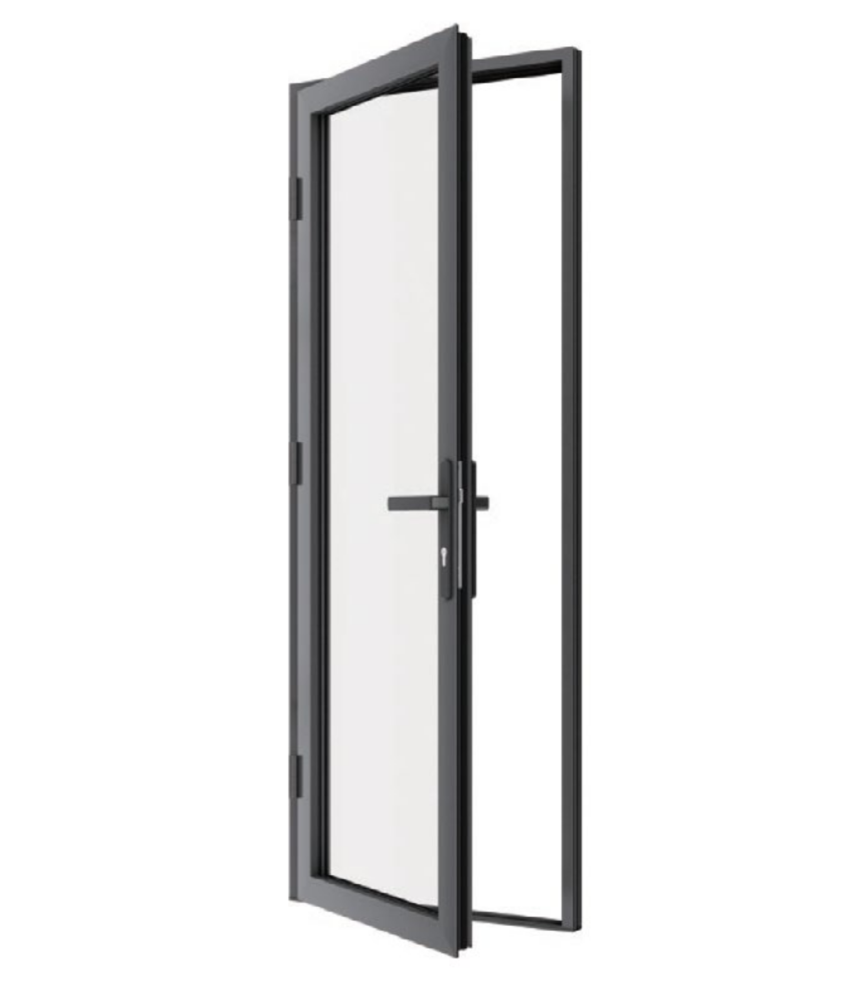VLX 100 Swing / Entry Door in Coral Gables, FL | TruePane Windows & Doors - detail 2