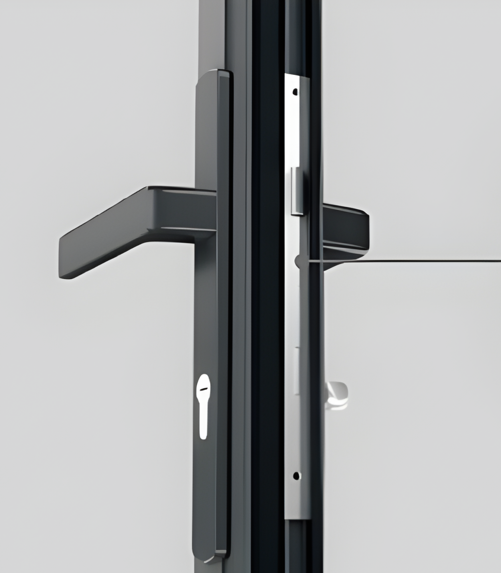 VLX 100 Swing / Entry Door in Coral Gables, FL | TruePane Windows & Doors - detail 5